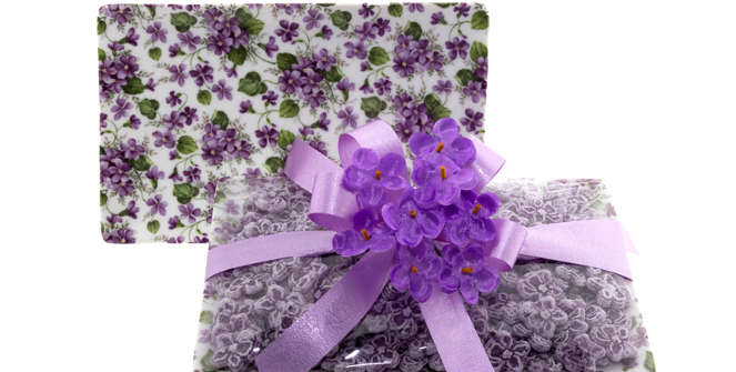 Violeta purple in spanish 