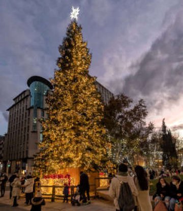 Árbol de Navidad de la Plaza de España 2021. © Madrid Destino. Álvaro López del Cerro