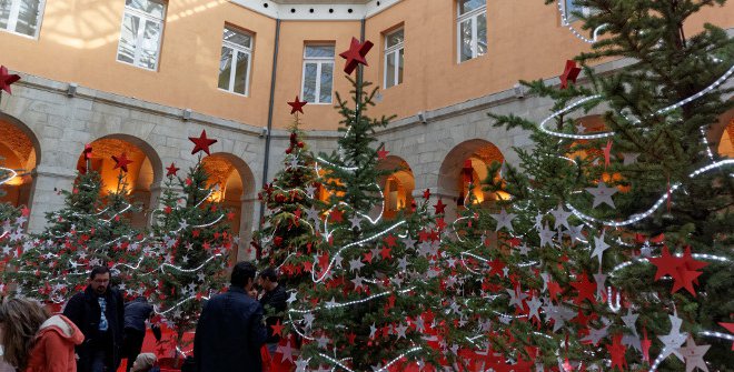 El Bosque de los Deseos