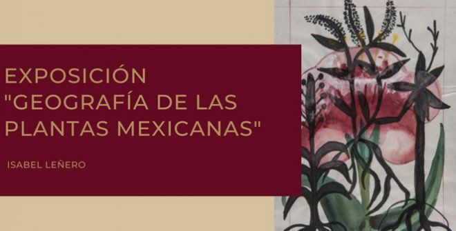 Geografía de las plantas mexicanas
