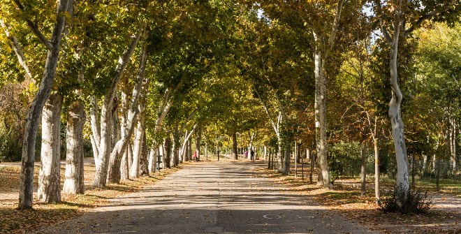Casa De Campo Park Official Tourism Website
