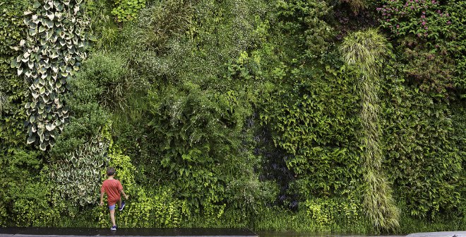 CaixaForum Vertical Garden | Official tourism website