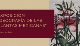 Geografía de las plantas mexicanas