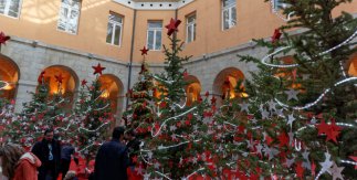 El Bosque de los Deseos