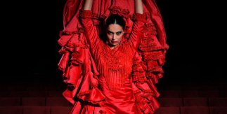 Emociones: Espectáculo Flamenco