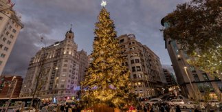 Árbol de Navidad de la Plaza de España 2021. © Madrid Destino. Álvaro López del Cerro