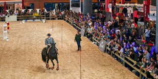 IFEMA Madrid Horse Week