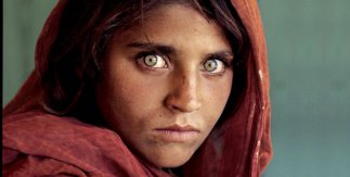 Sharbat Gula, Afghan Girl, Pakistan (1984) - © Steve McCurry ​​​​​​​