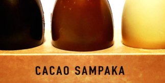 Cacao Sampaka